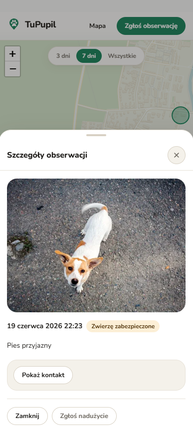 TuPupil — szczegóły zgłoszenia po kliknięciu pinezki